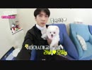 [VIXX] 「休憩犬(休んで行きたまえ)」 EP.3