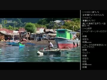 [2016.06.04]ひろくん 動画鑑賞 (1/5)