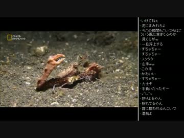 [2016.06.04]ひろくん 動画鑑賞 (2/5)