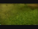 【DFFAC】やせいのパーティーがあらわれた20【ｱﾀﾞﾏﾝ】