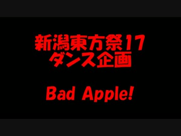 【新潟東方祭17】Bad Apple!!踊ってみた【アフター企画】