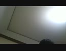 友達を募集するヒカキンチルドレン