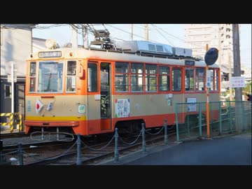 チャウチャウのぶらり旅？～四国の高知、松山へ行ってきたの巻？！～