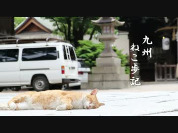 【北九州市】九州ねこ歩記　小倉城周辺　前編　【EOS80D】