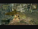 【DDON】私のポーンが荒ぶってる件