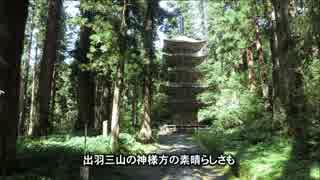 神社仏閣は宝の山【桜井識子】