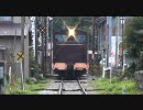 通過動画 - 【2008年3月】 西濃鉄道で石灰石運搬列車の通過を堪能する