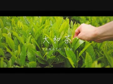 【第9回謎素材合作】 88 Nights