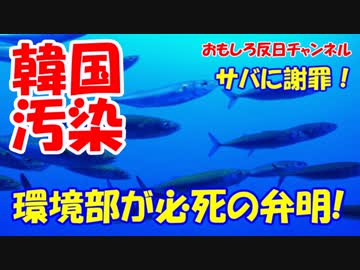 【韓国冤罪事件の真相】 サバの塩焼きが犯人だ！