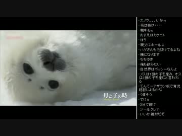 [2016.06.10]ひろくん 動画鑑賞 (1/2)