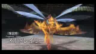 【実況】26歳無色、樹海へ…【イース セルセタの樹海】 part22