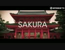 R3hab - Sakura