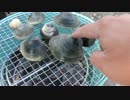 採った貝をその場で浜焼きしてみた。 後半