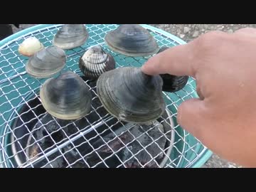 採った貝をその場で浜焼きしてみた。 後半