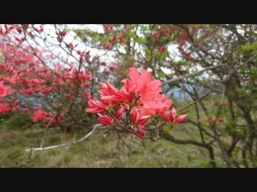 山登り実況#05 比叡山 (4/4)