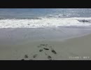【ニコカラ】 どうか元気で、幸せで (On Vocal)
