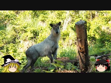 ゆっくりの田舎と自然　第４話「ぐるっと、里まわり 3の2」