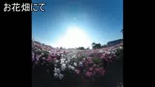 噂の360°カメラを使ってみた