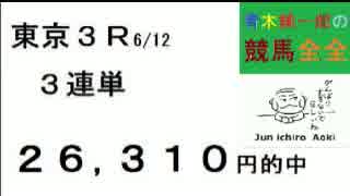 111,060円など的中 青木純一郎の競馬全全２０１６年６月１３日（月）