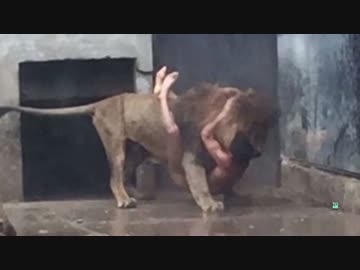 モフモフするのら～