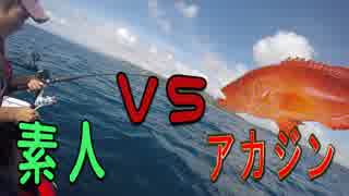 遂に現れた！お金になる幻のアカジンを釣り上げろ