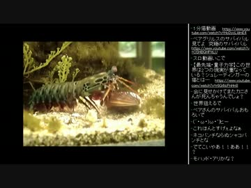 [2016.06.12]ひろくん 動画鑑賞 (3/3)