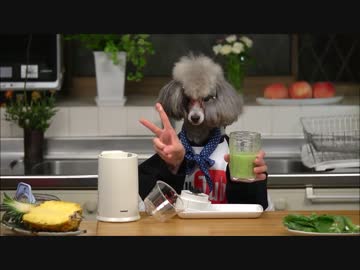 スムージーを作る犬