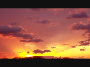 【刀剣54振】おかえりからいってらっしゃいまで【音MAD】