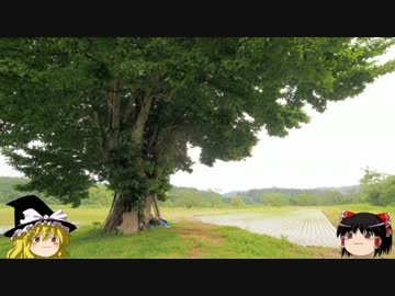 ゆっくりの田舎と自然　第４話「ぐるっと、里まわり 3の3」