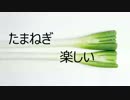 【DFFAC】就職難な玉ねぎ 3玉目【アダマンAソロ】