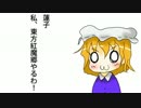 【東方自作アレンジ】シュレディンガー？なにそれ？おいしいの？