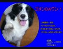 大手生主への謝罪会見