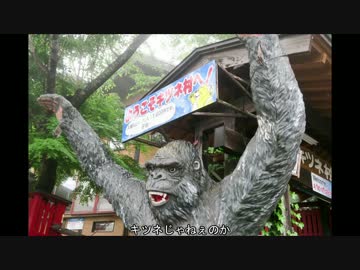 【Z1000】八百屋ライダーが走ってみたPart.4【キツネ村】