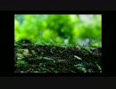 【感情を込めて】 rain stops , good-bye 歌ってみた 【Ruki】