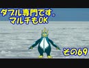 [ポケモンORAS]ダブル専門です　マルチもOK　その69