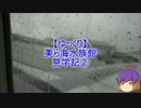 【ゆっくり】美ら海水族館見学記②