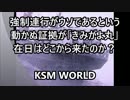 在日はどこから来たのか？強制連行がウソである証拠が「きみがよ丸」