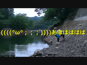 【オトナも遊ぼう】釣った魚を塩焼きで喰おーZE【Catch and Eat】
