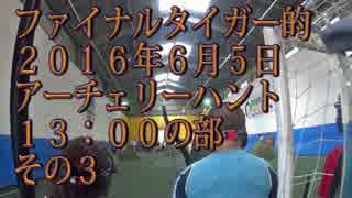 【ファイナルタイガー的】2016年6月5日アーチェリーハント13：00の部その３