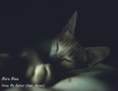 【作業用BGM】夜部屋でまったり洋楽.Ⅷ