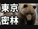 東京で弱肉強食トーキョージャングル実況プレイ【28】