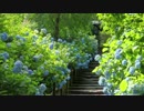 紫陽花がテーマのジャズ曲　『陽に少しの紫を』/original jazz music