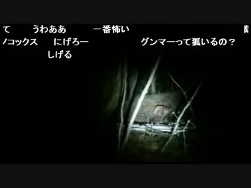 オカルトハンターＳＤ　狐に遭遇するもＤＱＮから逃げる