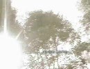 メグメル