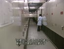 「AでMなA白人2nd」-Ep.03-A