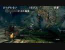 【箱根ダークソウル駅伝2016】奴隷義塾大学2区 デー仔 前半