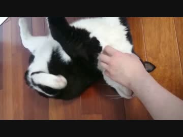 何でお前は自分で掻いてるつもりになったの