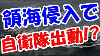 【中国崩壊最新】自衛隊出動！？領海侵入で在日マスコミが発狂ｗｗｗ