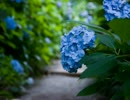 【ニコニコインディーズ】雨の日は嫌いじゃない【MSGS】