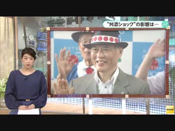 【参院選】「舛添ショック」で東京選挙区は大混戦！！出馬人数は…